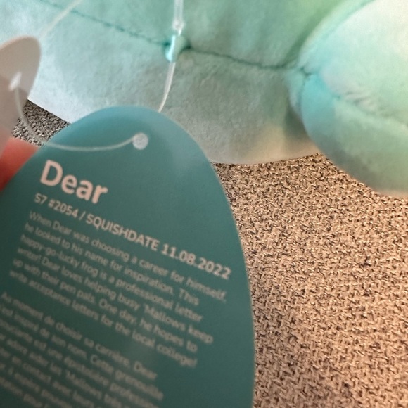 Nwt 7" Dear  the Dart Frog 🐸 Squishmallow - Picture 5 of 5